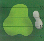 �ڽ��̹��� 1 