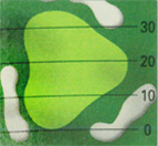 �ڽ��̹��� 1 