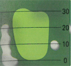 �ڽ��̹��� 1 